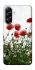 Чохол на Samsung Galaxy A57 5G Поле маків фото 1 з 1