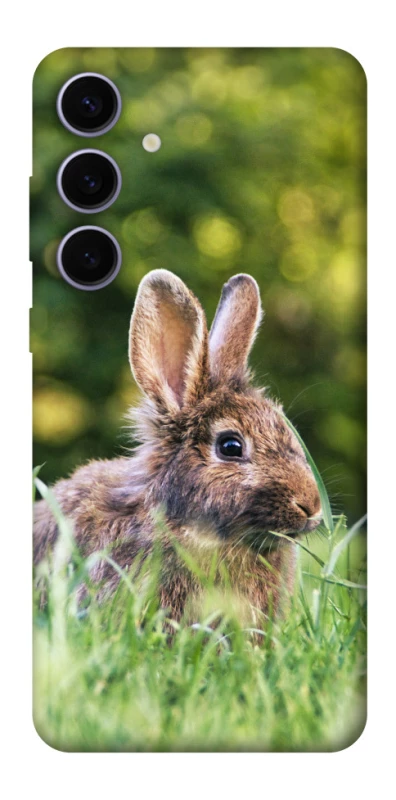 Чехол на Samsung Galaxy S25+ Кролики фото 1 из 1