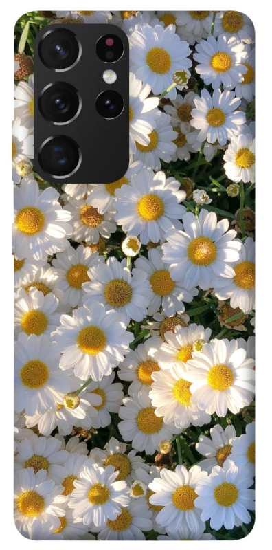 Чохол на Samsung Galaxy S21 Ultra Поле ромашок фото 1 з 1