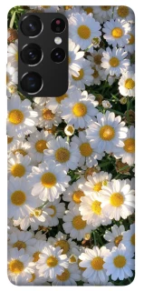 Чохол на Samsung Galaxy S21 Ultra Поле ромашок фото 1 з 1