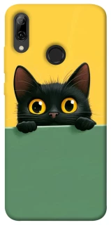 Чехол на Huawei P Smart (2019) Black cat v2 фото 1 из 1