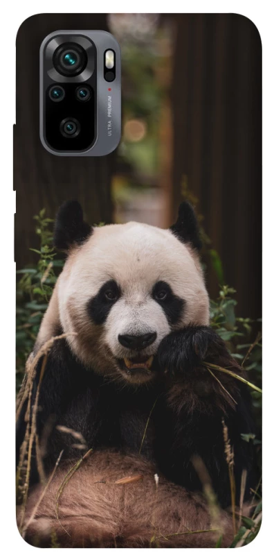 Чехол на Xiaomi Poco M5s Панда фото 1 из 1