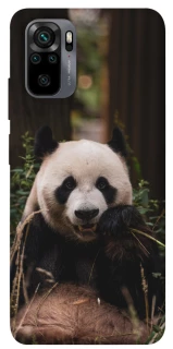 Чехол на Xiaomi Poco M5s Панда фото 1 из 1