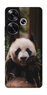 Чехол на Xiaomi Poco F6 Панда фото 1 из 1