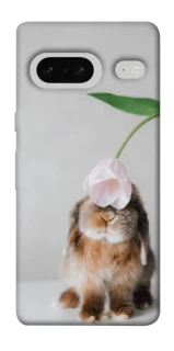 Чохол на Google Pixel 7 Bunny фото 1 з 1