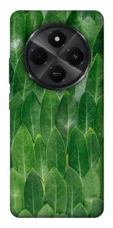 Чехол на Xiaomi Poco M7 Листья фото 1 из 1