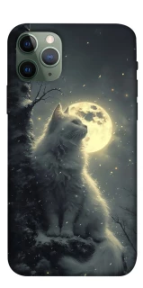 Чохол на Apple iPhone 11 Pro (5.8") Кіт під місяцем фото 1 з 1
