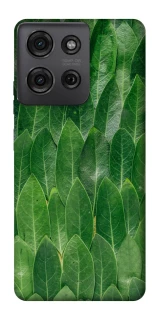 Чехол на Motorola Moto G75 Листья фото 1 из 1