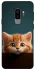 Чехол на Samsung Galaxy S9+ Чехол Котёнок фото 1 из 1