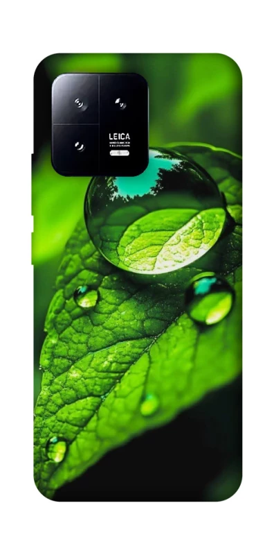 Чохол на Xiaomi 13 Flowers v16 фото 1 з 1