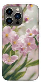 Чехол на Apple iPhone 13 Pro (6.1") Spring фото 1 из 1