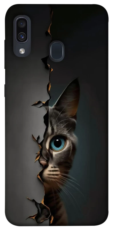Чехол на Samsung Galaxy A20 / A30 Кот-подглядыватель v2 фото 1 из 1