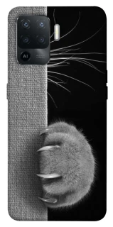 Чехол на Oppo Reno 5 Lite Spy Cat фото 1 из 1