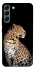 Чехол на Samsung Galaxy S22+ Leopard v2 фото 1 из 1