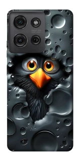 Чохол на Motorola Moto G75 Ну привіт ! фото 1 з 1