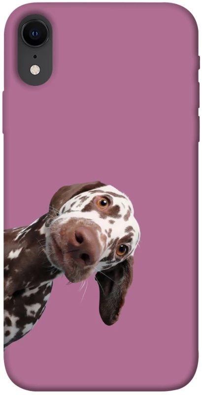 Чохол на Apple iPhone XR (6.1") А що тут фото 1 з 1