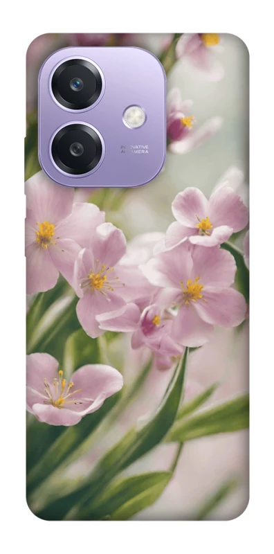Чохол на Oppo A3 4G Spring фото 1 з 1