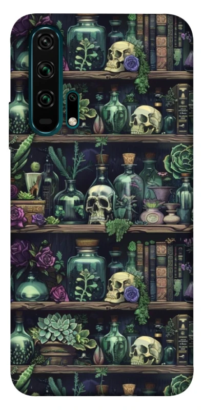 Чохол на Huawei Honor 20 Pro Bookshelf ver.1 фото 1 з 1