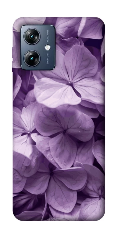 Чехол на Motorola Moto G54 Power Floral Symphony фото 1 из 1