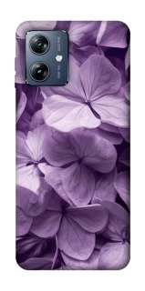 Чохол на Motorola Moto G54 Power Floral Symphony фото 1 з 1