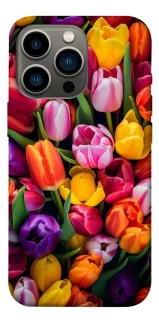 Чехол на Apple iPhone 13 Pro (6.1") Flowers v30 фото 1 из 1