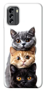 Чохол на Nokia G60 Гарні котики фото 1 з 1