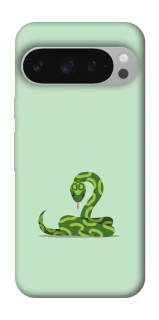 Чохол на Google Pixel 10 Pro XL Змійка фото 1 з 1
