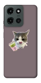 Чехол на Motorola Moto G Power (2025) cat matcha фото 1 из 1