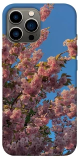 Чохол на Apple iPhone 12 Pro Max (6.7") Flowers v4 фото 1 з 1