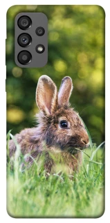 Чехол на Samsung Galaxy A73 5G Кролики фото 1 из 1
