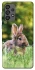 Чехол на Samsung Galaxy A73 5G Кролики фото 1 из 1