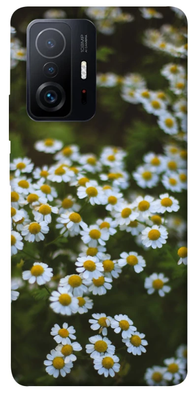 Чохол на Xiaomi 11T / 11T Pro Ромашки v13 фото 1 з 1