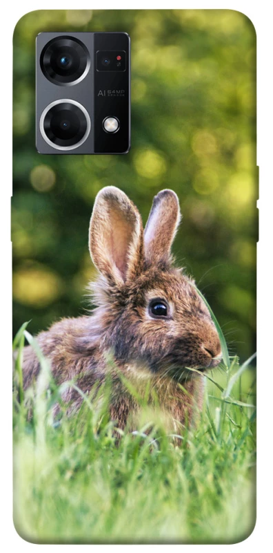 Чехол на Oppo Reno 7 4G Кролики фото 1 из 1