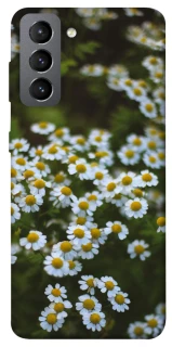 Чехол на Samsung Galaxy S21 FE Ромашки v13 фото 1 из 1