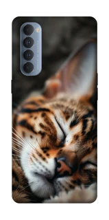 Чехол на Oppo Reno 4 Pro Cat paws фото 1 из 1