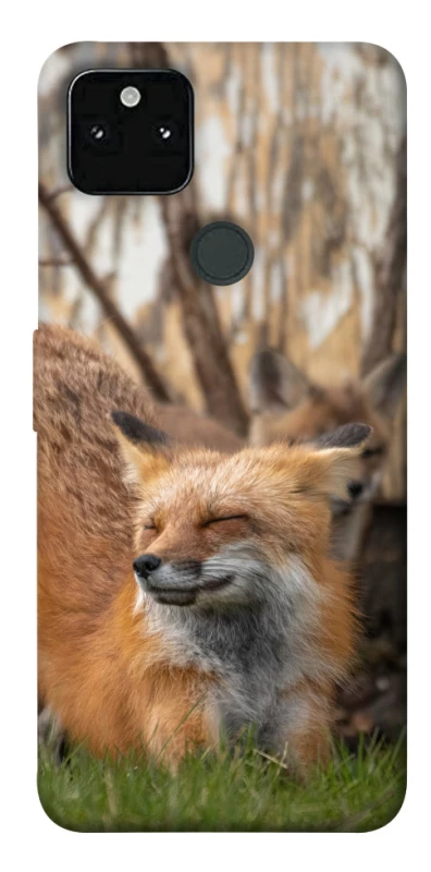 Чехол на Google Pixel 5A Лиса фото 1 из 1