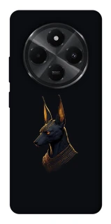 Чохол на Xiaomi Poco C75 Anubis фото 1 з 1