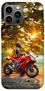 Чохол на Apple iPhone 12 Pro Max (6.7") Промені заходу сонця фото 1 з 1