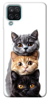 Чохол на Samsung Galaxy M12 Гарні котики фото 1 з 1