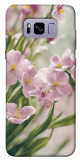 Чехол на Samsung G955 Galaxy S8 Plus Spring фото 1 из 1