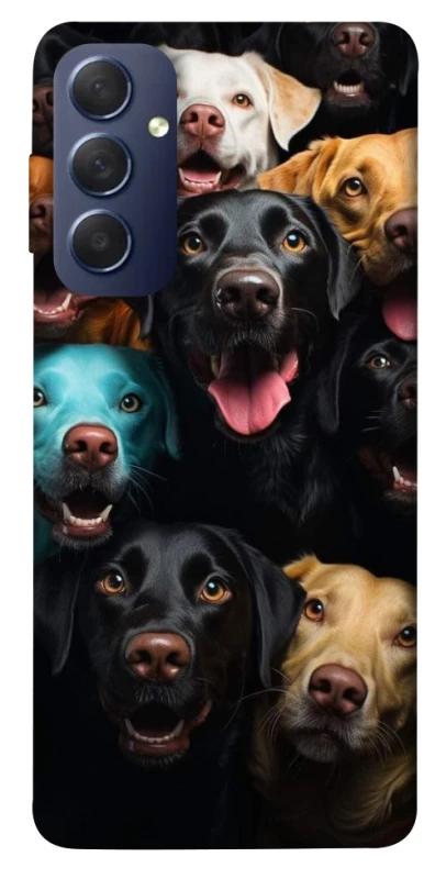 Чехол на Samsung Galaxy M54 5G Собаки фото 1 из 1