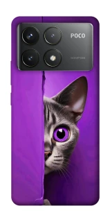 Чохол на Xiaomi Poco F6 Pro Кіт-підглядач фото 1 з 1