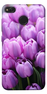 Чохол на Xiaomi Redmi 4X Фіолетові тюльпани фото 1 з 1
