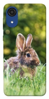 Чохол на Samsung Galaxy A03 Core Кролики фото 1 Чохол на Samsung Galaxy A03 Core Кролики фото 1 з 1