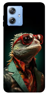 Чохол на Motorola Moto G84 Ігуана фото 1 з 1