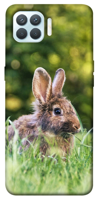Чехол на Oppo F17 Pro Кролики фото 1 из 1