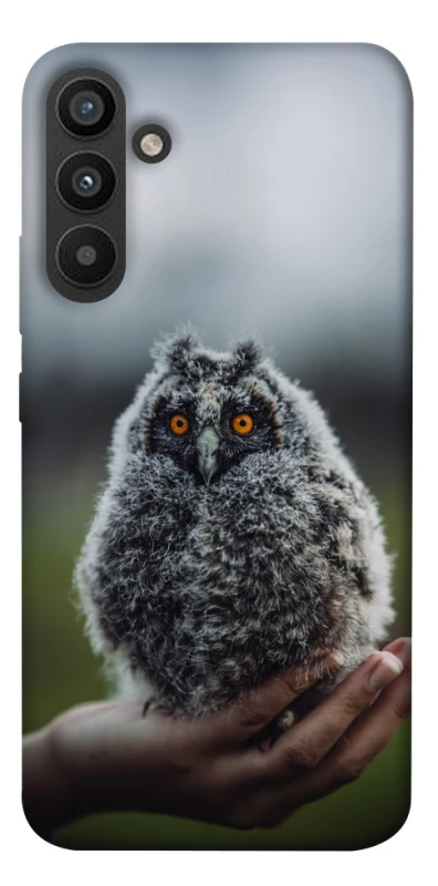 Чехол на Samsung Galaxy A34 5G Совёнок фото 1 из 1