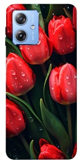Чохол на Motorola Moto G84 Червоні тюльпани фото 1 Чохол на Motorola Moto G84 Червоні тюльпани фото 1 з 1