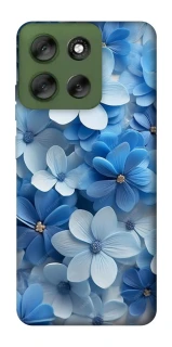 Чехол на Motorola Moto G56 5G Синие цветы фото 1 из 1