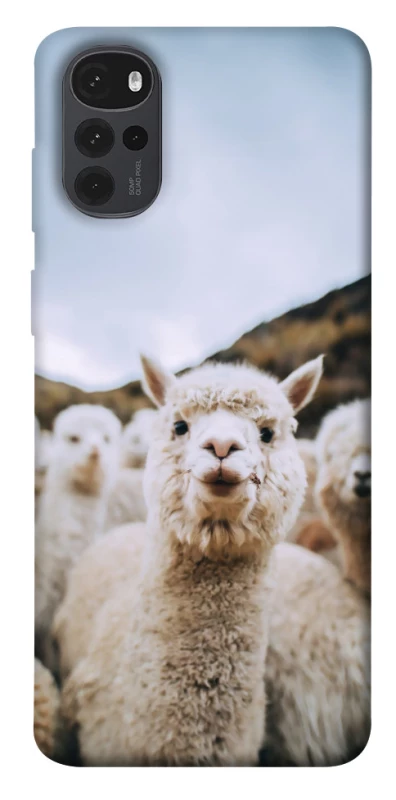 Чохол на Motorola Moto G22 Лама фото 1 з 1
